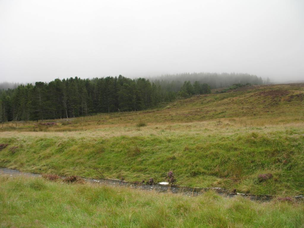 Süden; view south