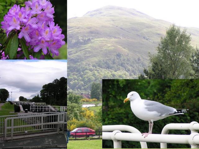 Ben Nevis, Britain's highest mountain, and the flight locks at Banavie