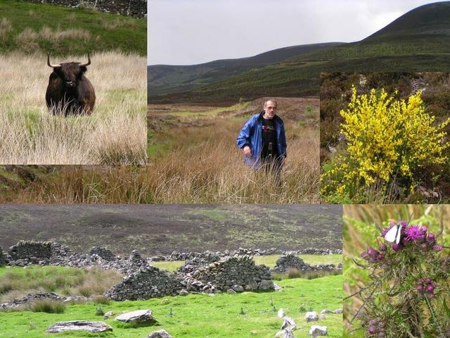 walking down to Golspie Burn