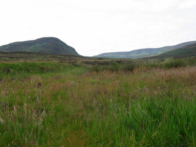 The confluence looking westward up the glen.