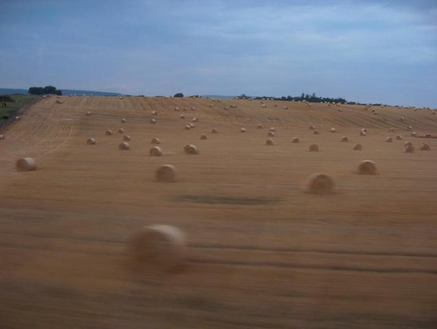 HAY FIELDS