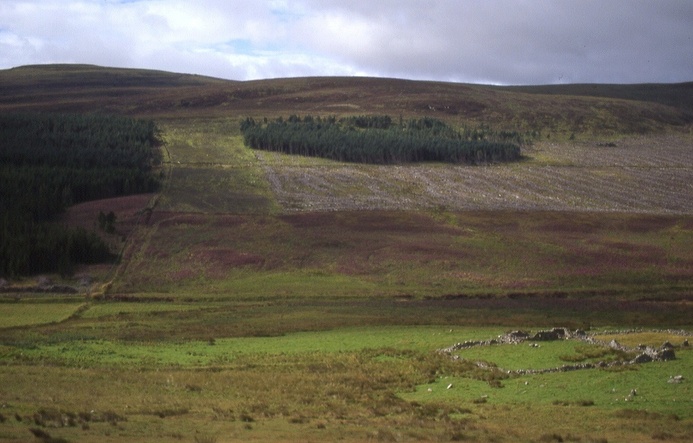 view west over the CP, 400 m afar