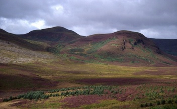 #1: general view northwest of the confluence