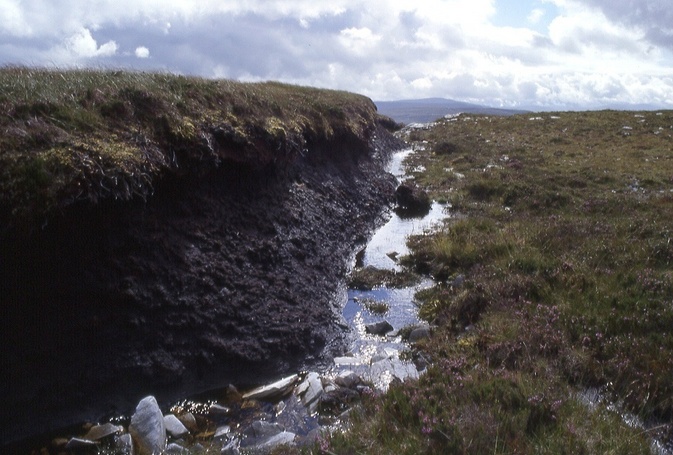 peat canyon