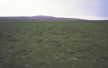 #1: The spot in a field. Looking South West to Wideford Hill