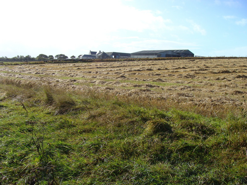 Looking south southeast from 59N 03W.