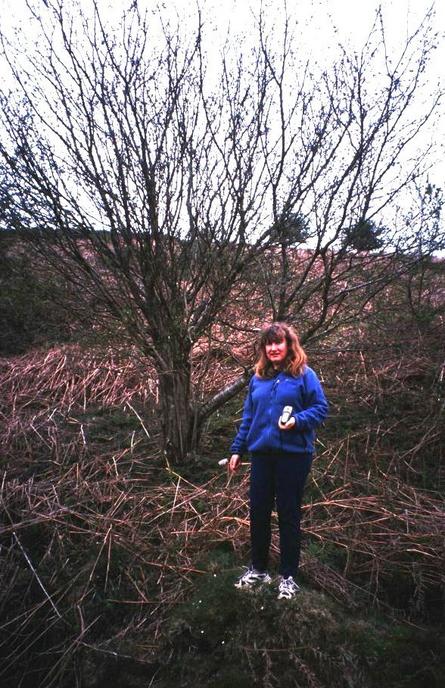 Frances, on the spot, a northward view.