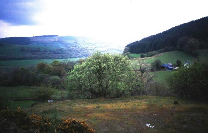 Looking south to the hill Mynydd Cynros