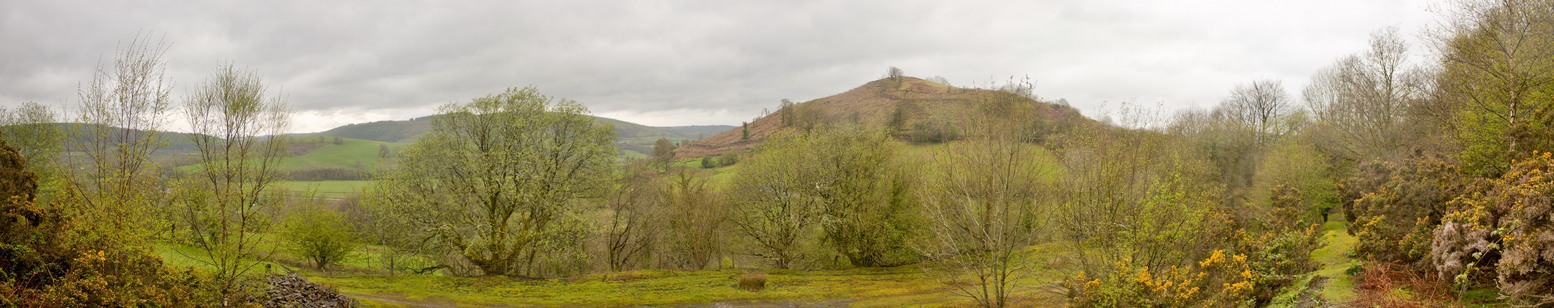 View from the confluence point