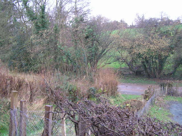 View of the confluence in the center of the frame from the nearest main roadway.