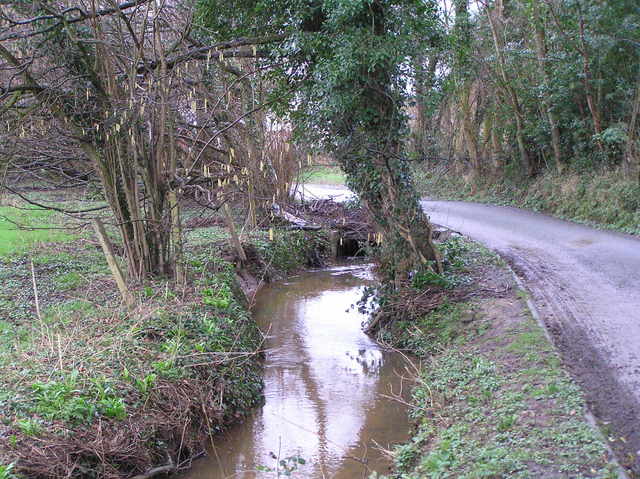 Looking west-northwest at the confluence, which is in the branches covering the ditch in the center of the photograph.