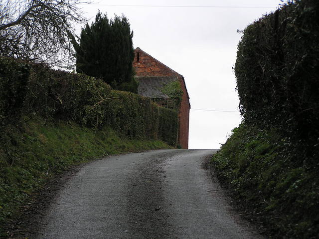 View to the east about 30 meters up the lane from the confluence.