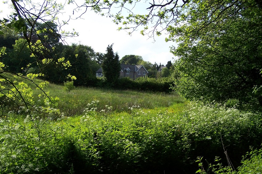 View towards NW from the confluence