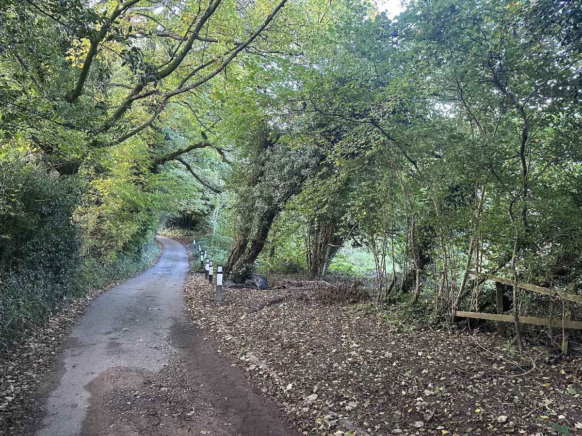 Road at the Confluence