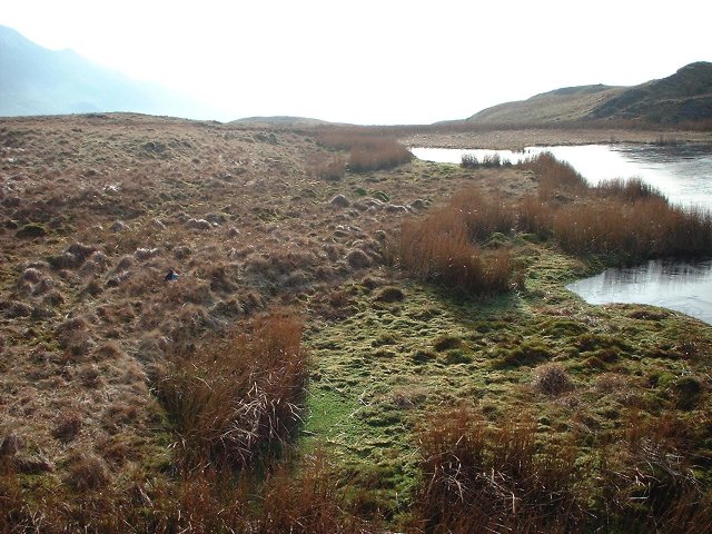 Looking south from the confluence.