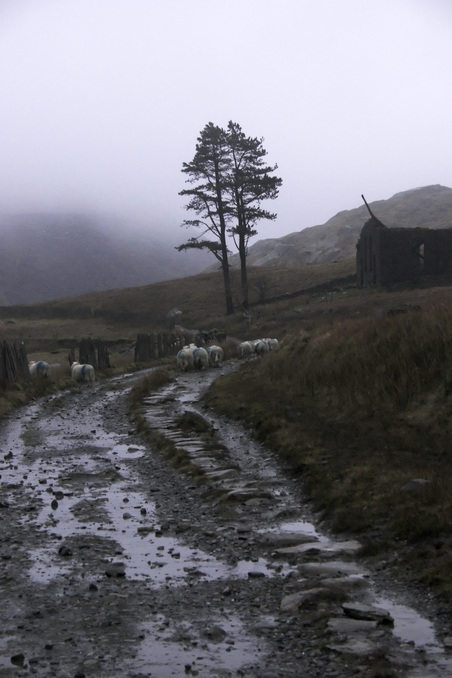 Mountain traffic jam