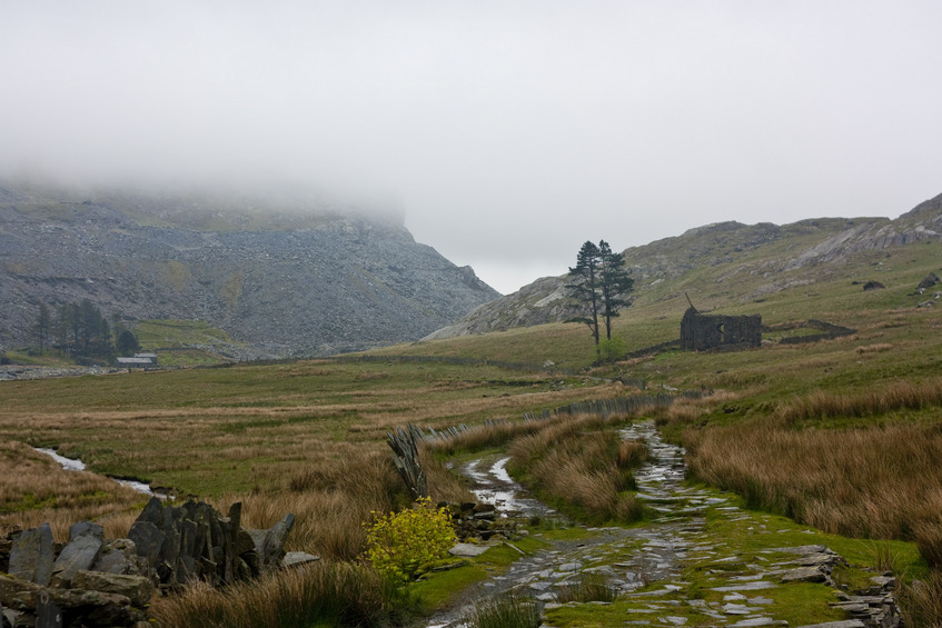 Low clouds