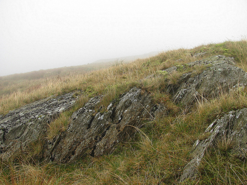 Looking North through the fog.