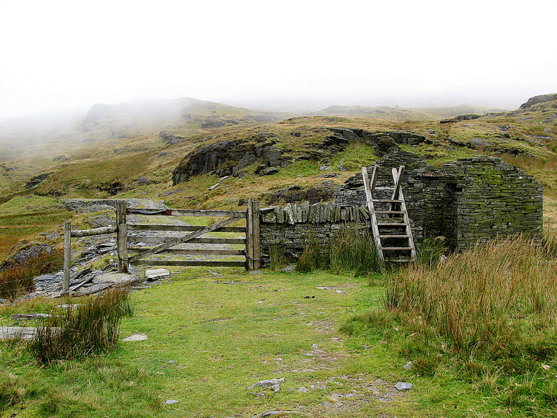 The stile over the fence which keeps the sheep in their own area.