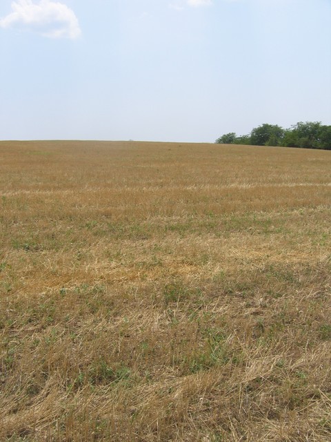 View on Confluence Point