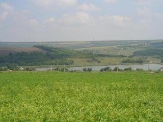 #1: the confluence looking to the east distance 50 m