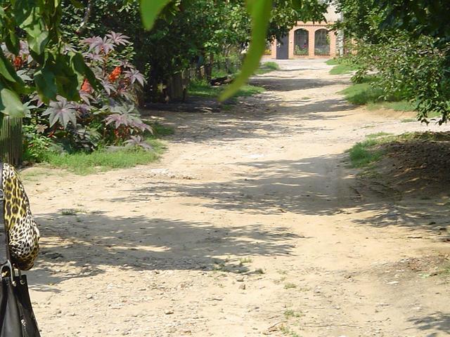 The alley where the confluence lies looking to the west. 40m distance