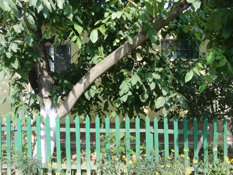 Looking East – somewhere behind the garten fence or at the wall there is the confluence