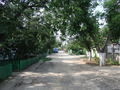 #3: Looking North from the confluence