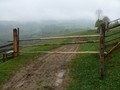 #10: Дорога к конфлюэнции под дождем /  The road to CP under the rain