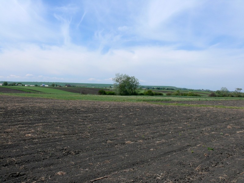 Вид на запад / West view