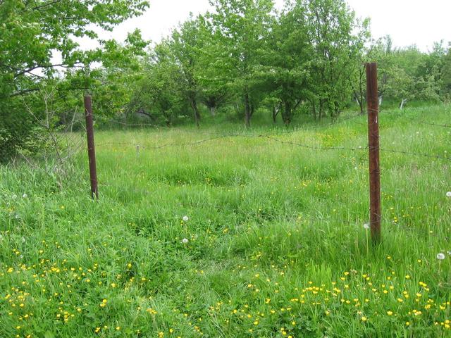 The confluence is right behind the barbed-wire fence