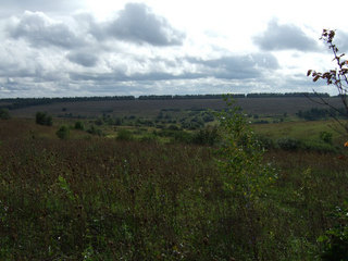 #1: General view