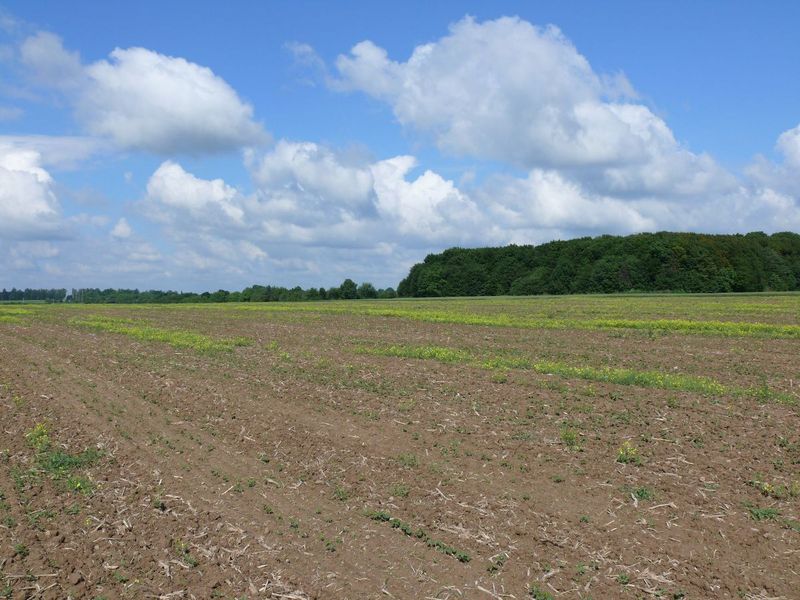 Вид на запад/West view