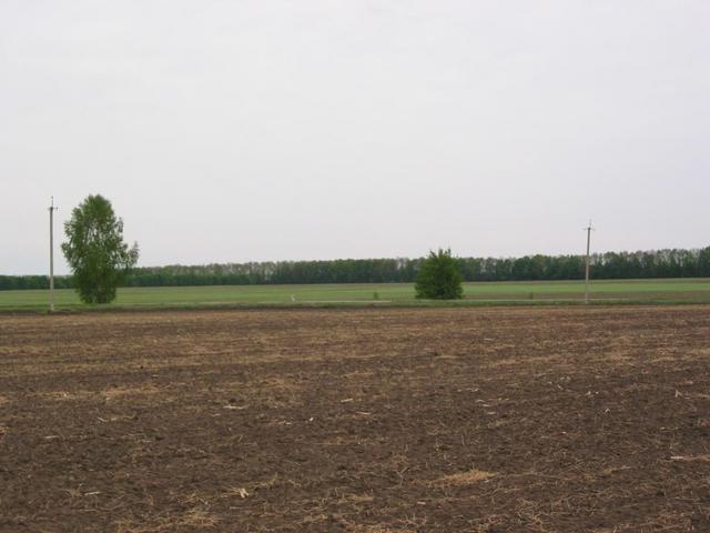 Looking north from confluence