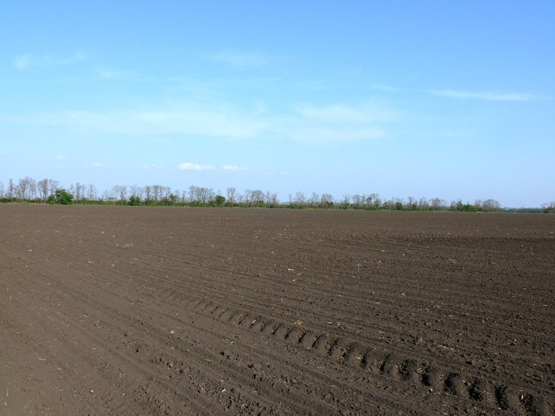 Вид на восток / East view