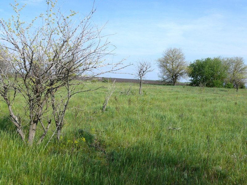 Вид на восток / East view