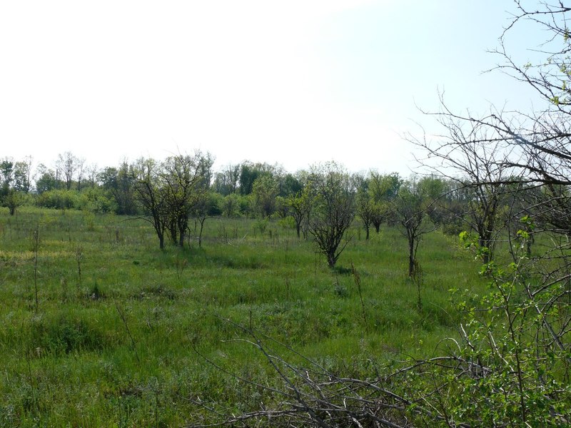 Вид на запад / West view