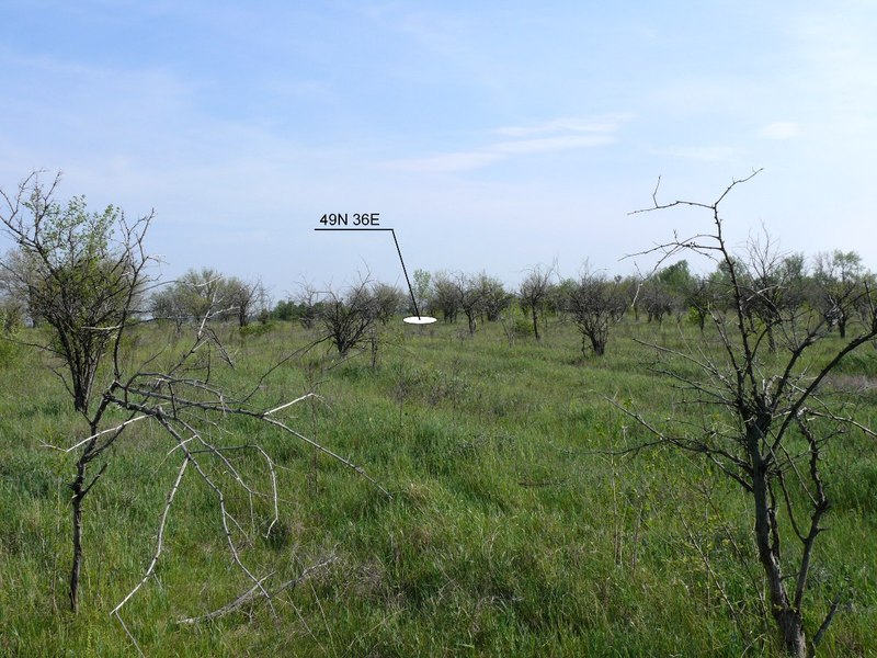 Общий вид слияния / General view