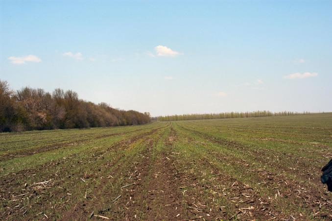 View from point to the North