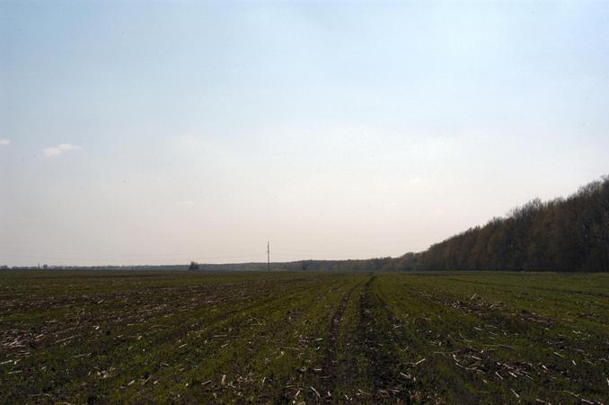 View from point to the South