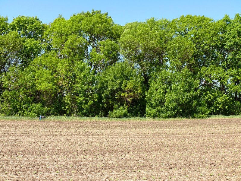 Вид на запад / West view