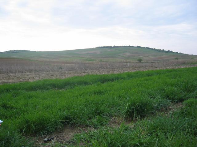 The Confluence - View to the East