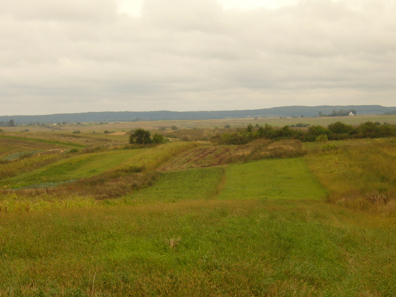 Genaral view - Widok ogólny