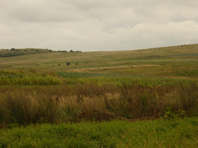 South view - Południe