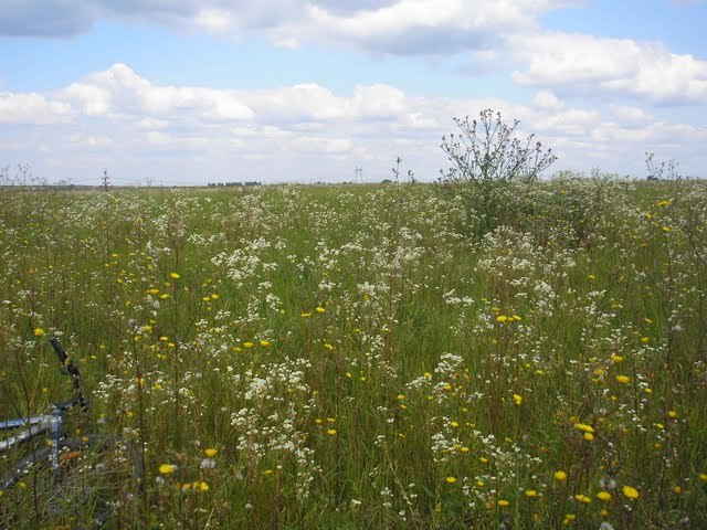 View to the North