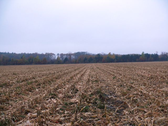 Вид на запад/West view