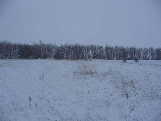 View to the Confluence Point 50N35E