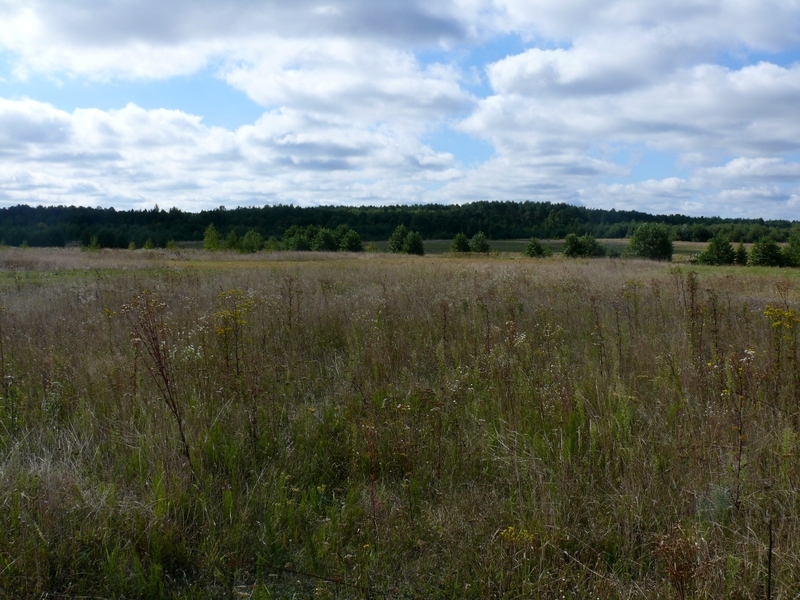 Вид на юг / South view