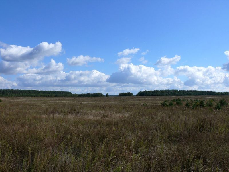 Вид на восток/East view