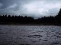 #8: View toward the site and wolf tracks from the anchorage